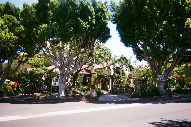 wooded house in los angeles