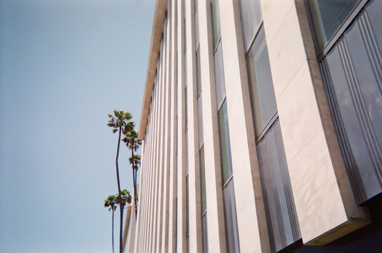 vertical lines and trees