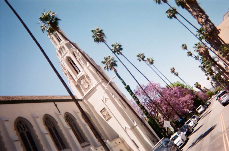 church and palm trees