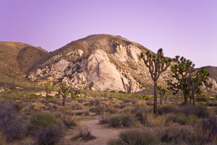 violet edited mountain in joshua tree